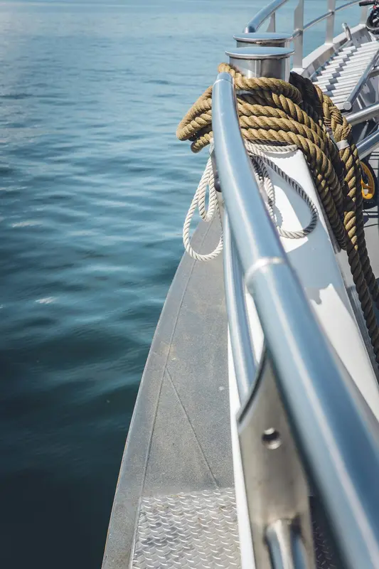 Vanquish.Boats Premium Domain